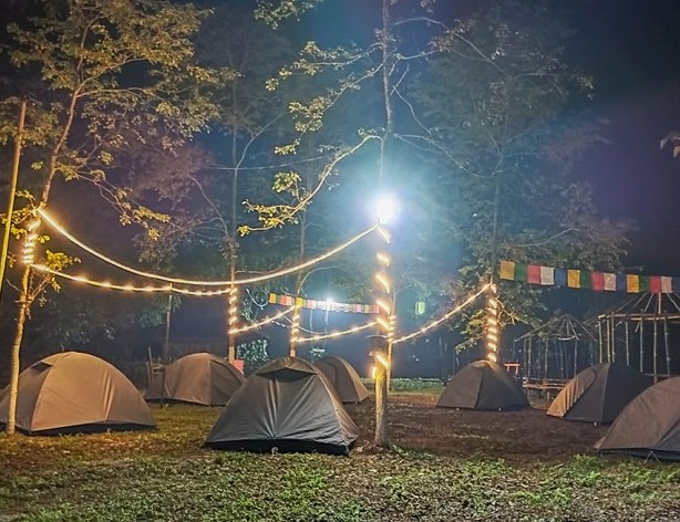Fiddlehead Campsite, Namsai